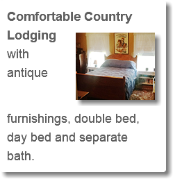 Comfortable Country Lodging ﷯with antique furnishings, double bed, day bed and separate bath. 