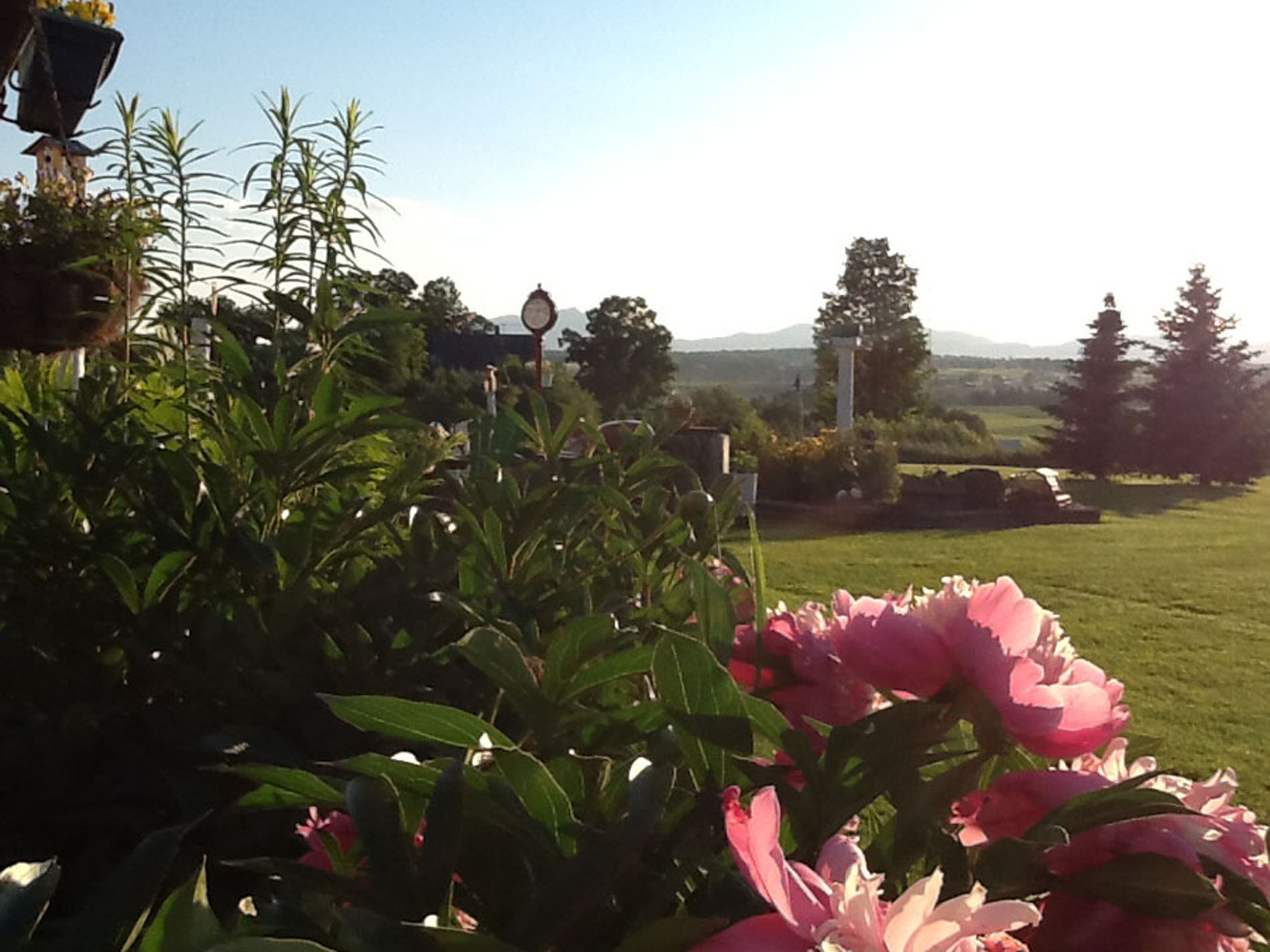 description of photo