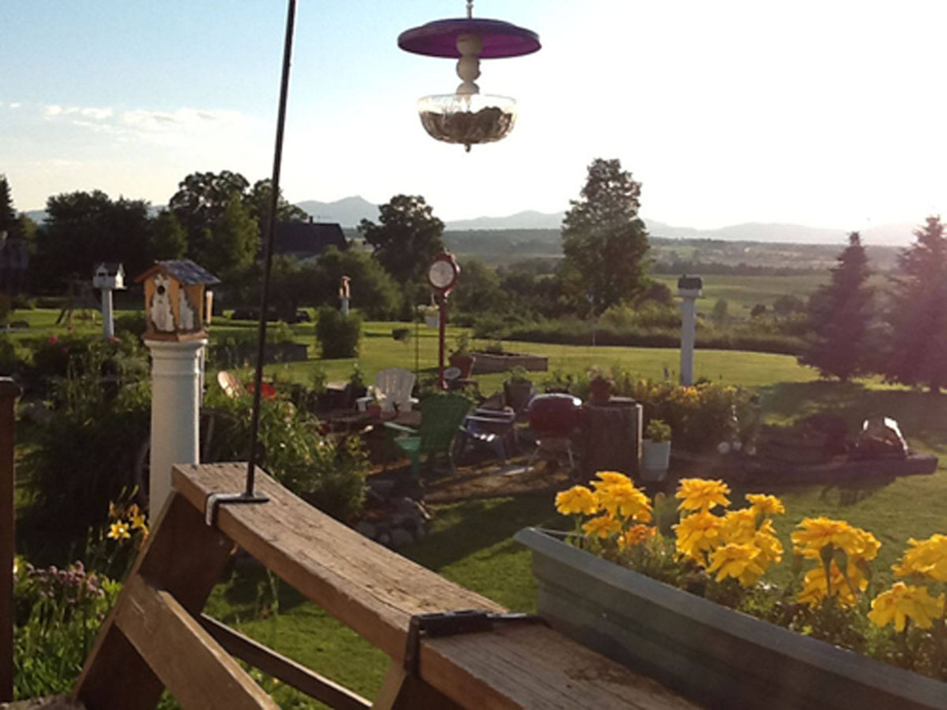 description of photo