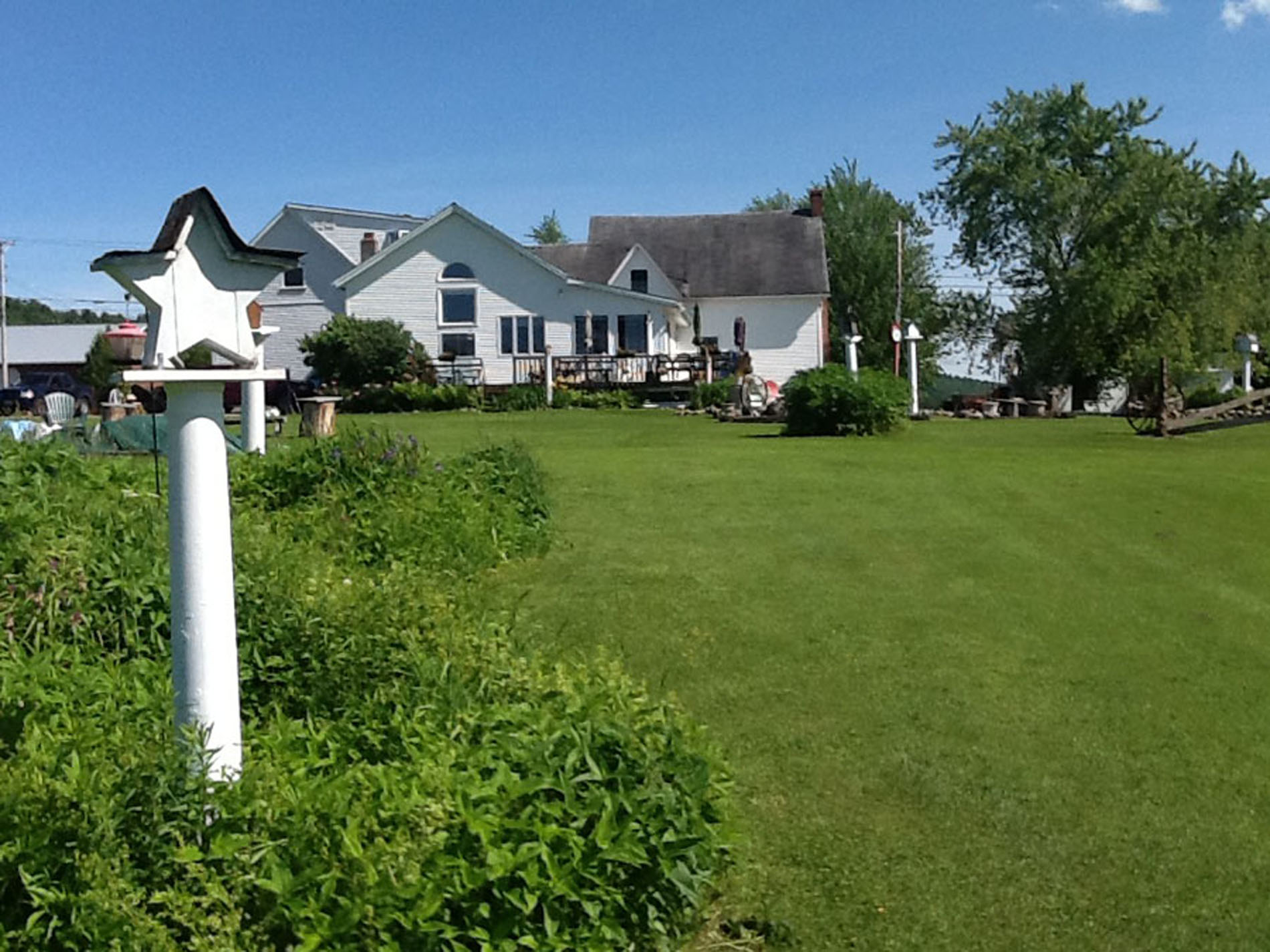 description of photo